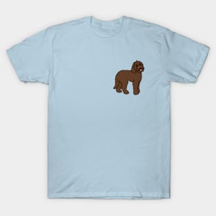 labradoodle pocket tee T-Shirt